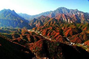 栾川县属于哪个市？