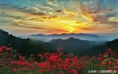 讨论三都县属于哪个市？