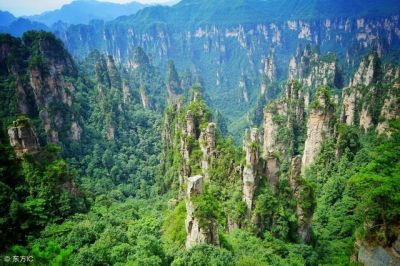 桑植县属于哪个市？