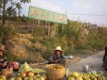 概括象州县属于哪个市？
