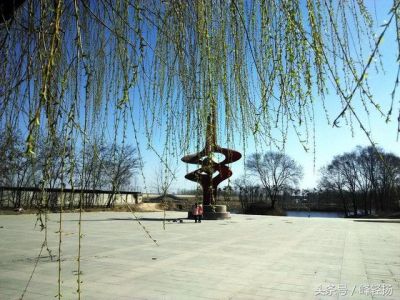 理解肃宁县属于哪个市？