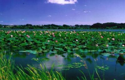 中国县域介绍——广西壮族自治区贺州市钟山县