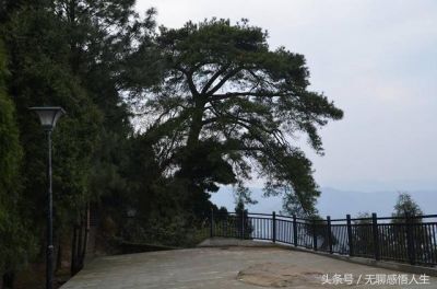 营山县属于哪个市？