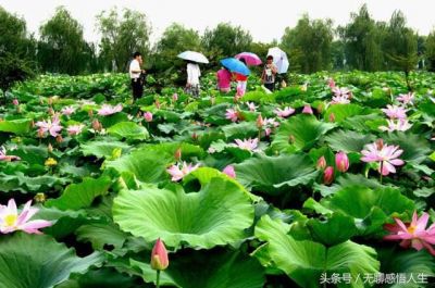 详解江苏省金湖县属于哪个市