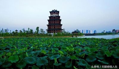 中国县域介绍——湖北省天门市