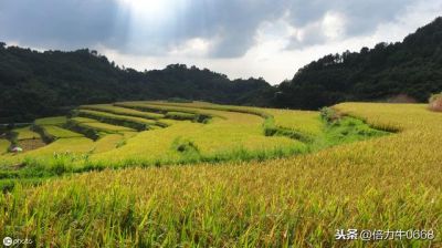 广西玉林兴业县沿革，一口气了解兴业地区建置沿袭变革古今历史