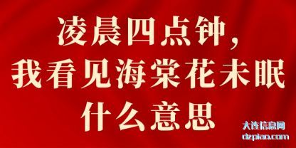 阐述凌晨四点钟,我看见海棠花未眠什么意思