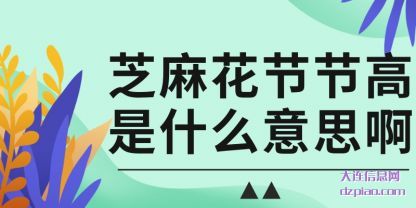 介绍芝麻花节节高是什么意思啊