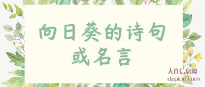 推荐向日葵的诗句或名言