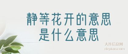 静等花开的意思是什么意思