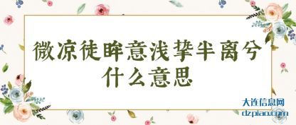 微凉徒眸意浅挚半离兮什么意思