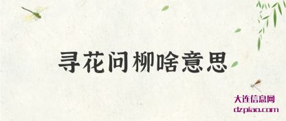 理解寻花问柳啥意思