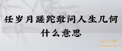 分析任岁月蹉跎敢问人生几何什么意思