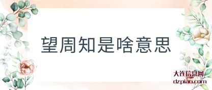 议论望周知是啥意思