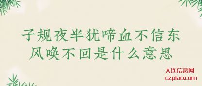 子规夜半犹啼血不信东风唤不回是什么意思