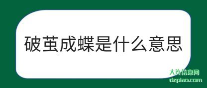 知晓破茧成蝶是什么意思