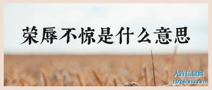 议论荣辱不惊是什么意思