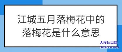 江城五月落梅花中的落梅花是什么意思
