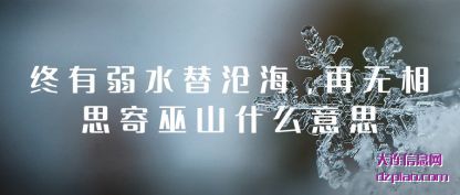 阐述终有弱水替沧海,再无相思寄巫山什么意思