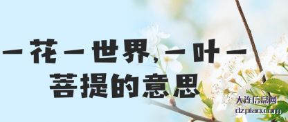知晓一花一世界,一叶一菩提的意思