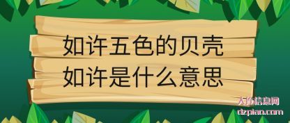 介绍如许五色的贝壳如许是什么意思