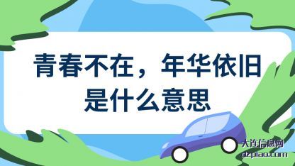 理会青春不在,年华依旧是什么意思
