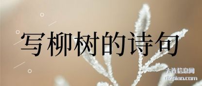 写柳树的诗句