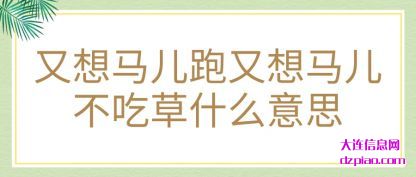 分析又想马儿跑又想马儿不吃草什么意思