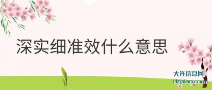 诠释深实细准效什么意思