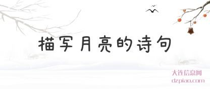 谈论描写月亮的诗句