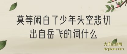 理会莫等闲白了少年头空悲切出自岳飞的词什么