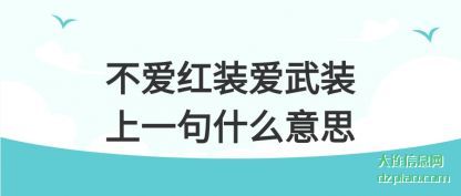 关于不爱红装爱武装上一句什么意思