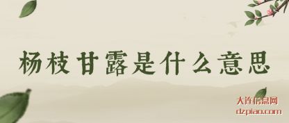 分析杨枝甘露是什么意思