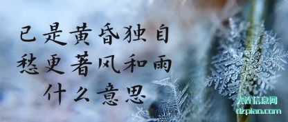 总结已是黄昏独自愁更著风和雨什么意思