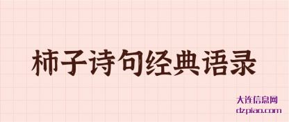 讲解柿子诗句经典语录