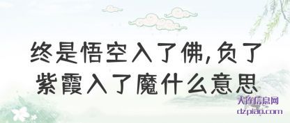 阐述终是悟空入了佛,负了紫霞入了魔什么意思