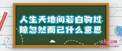 介绍人生天地间若白驹过隙忽然而已什么意思