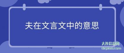 概括夫在文言文中的意思