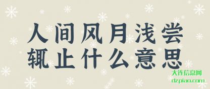 浅析人间风月浅尝辄止什么意思