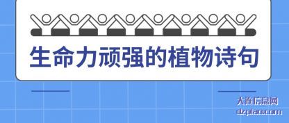 解读生命力顽强的植物诗句