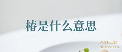 体会椿是什么意思