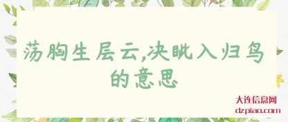 解惑荡胸生层云,决眦入归鸟的意思