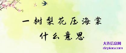 浅析一树梨花压海棠什么意思