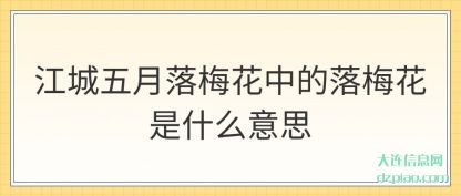关于江城五月落梅花中的落梅花是什么意思