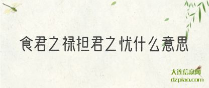 食君之禄担君之忧什么意思