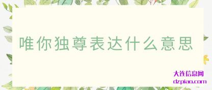 详解唯你独尊表达什么意思