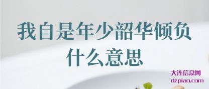 我自是年少韶华倾负 什么意思