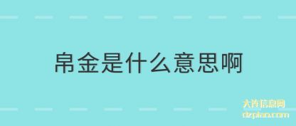 聊聊帛金是什么意思啊