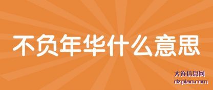 不负年华什么意思