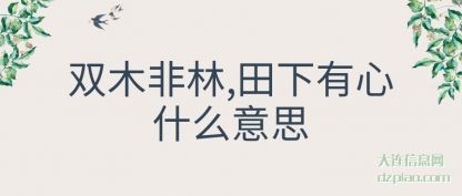 概括双木非林,田下有心什么意思